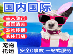 沈阳机场托运国际宠物托运 【国